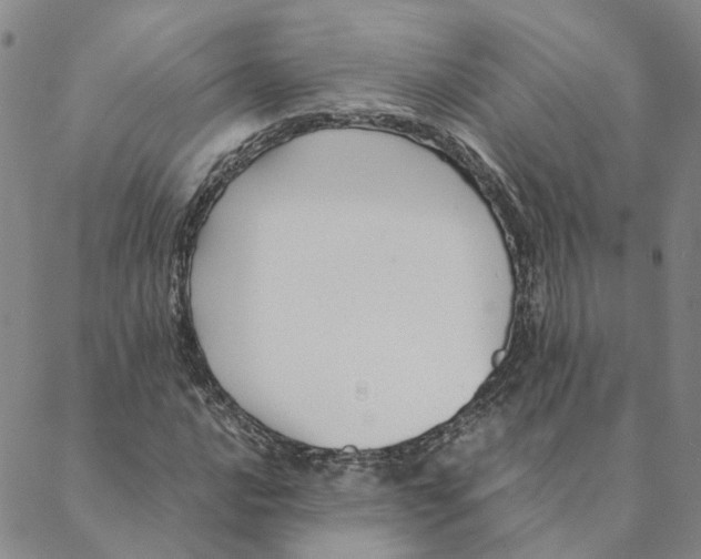 X0000088461016200706121459