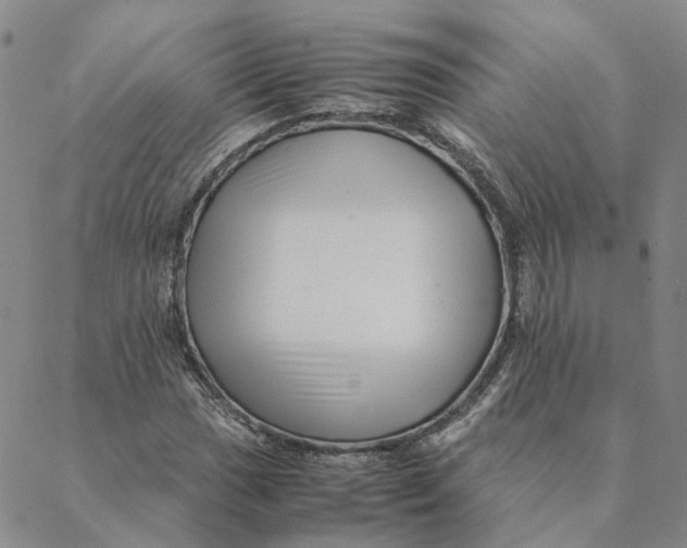 X0000088461017200706121459