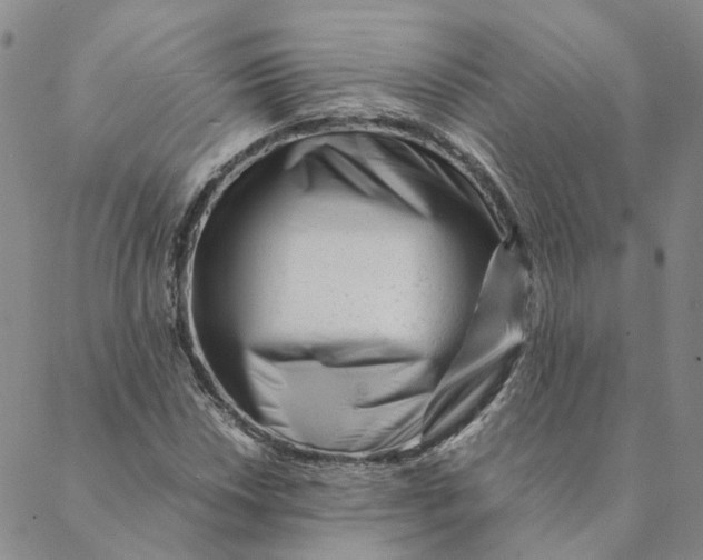 X0000088461018200706121459