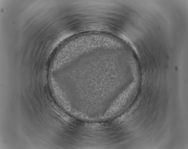 X0000088461019200706121459