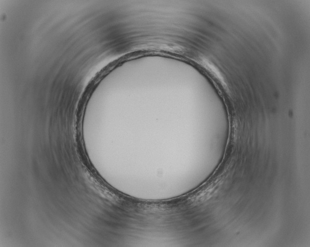 X0000088461020200706121459