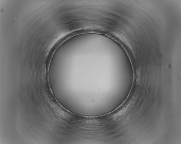 X0000088461021200706121459