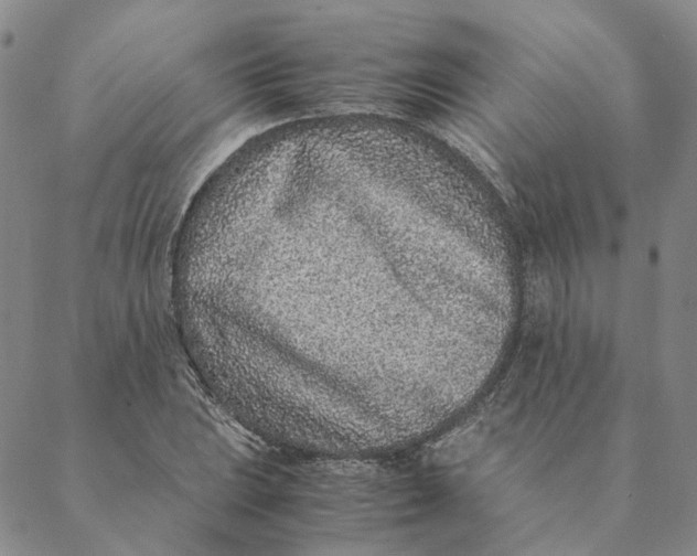 X0000088461023200706121459