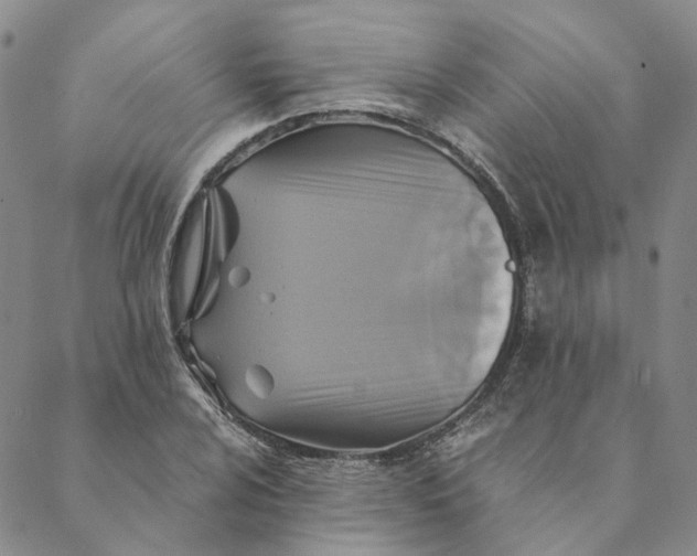 X0000088461024200706121459