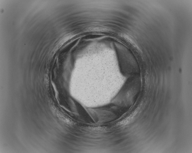 X0000088461025200706121459