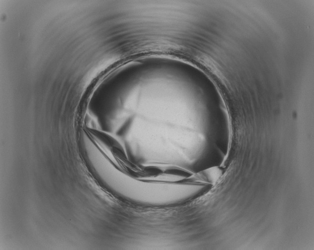 X0000088461026200706121459