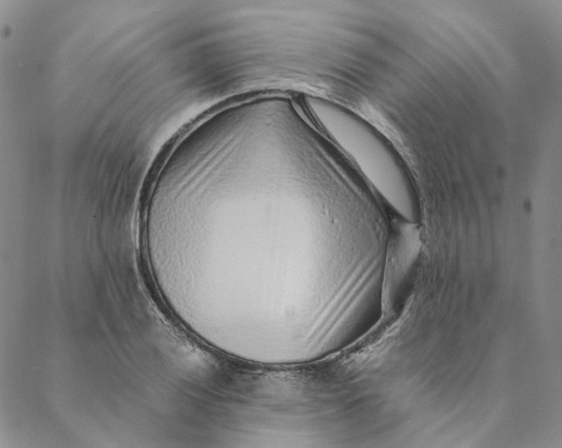 X0000088461028200706121459