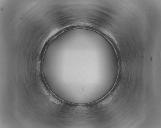 X0000088461029200706121459