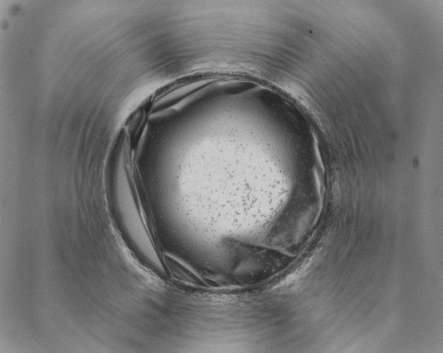 X0000088461030200706121459