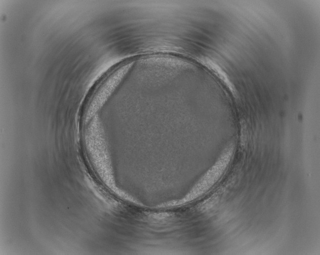 X0000088461031200706121459