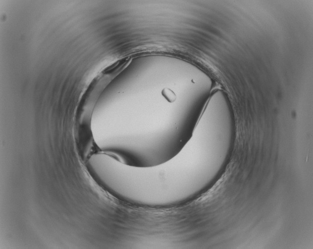 X0000088461034200706121459