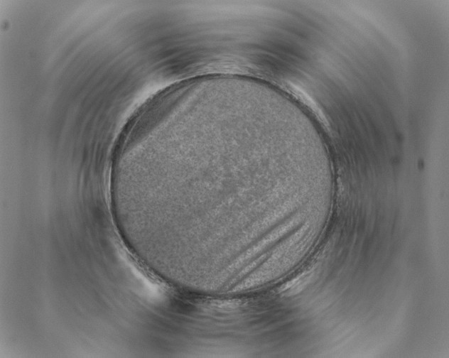 X0000088461035200706121459