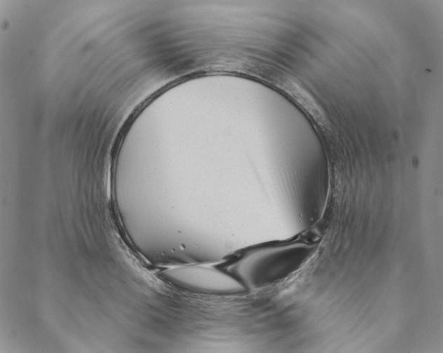 X0000088461036200706121459