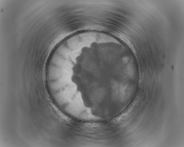 X0000088461037200706121459