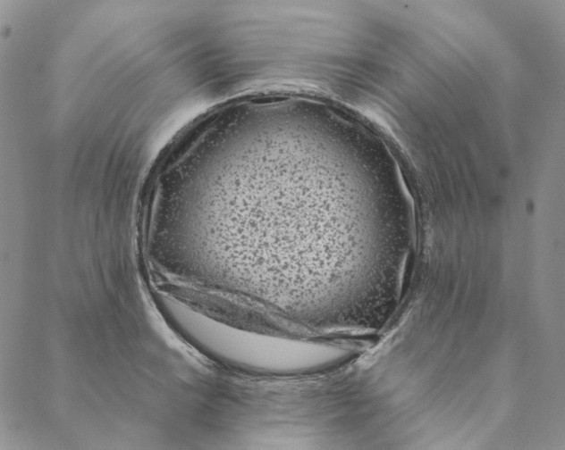 X0000088461038200706121459