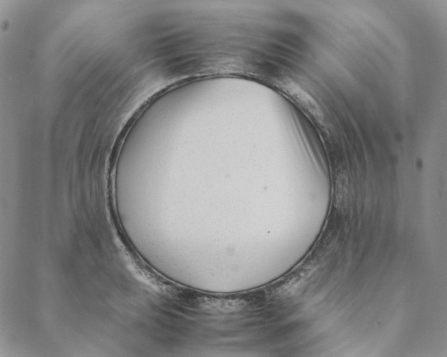 X0000088461039200706121459