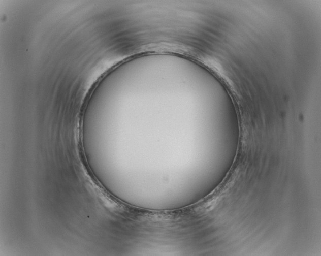 X0000088461040200706121459