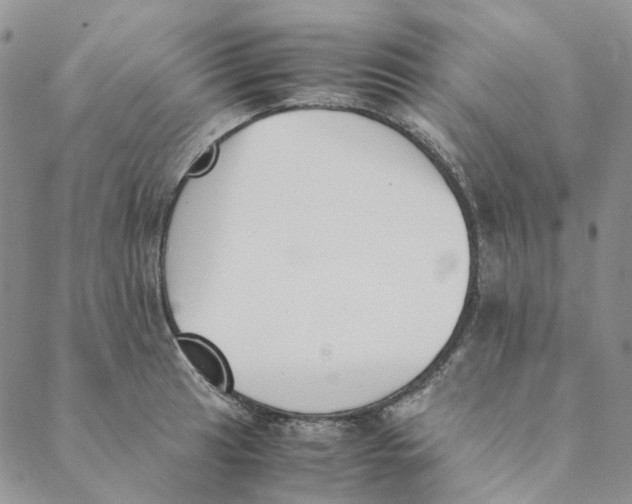 X0000088461041200706121459