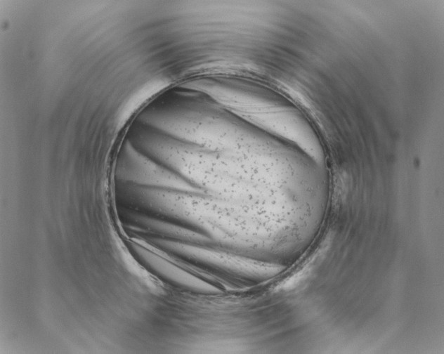 X0000088461042200706121459