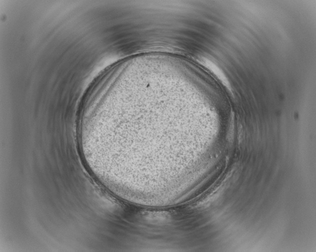 X0000088461043200706121459