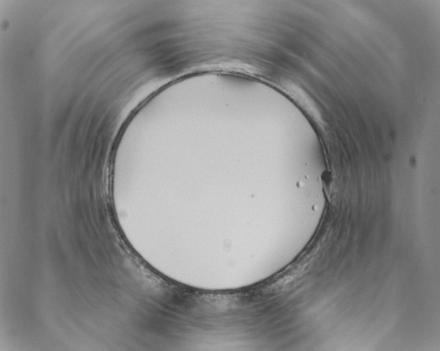 X0000088461044200706121459