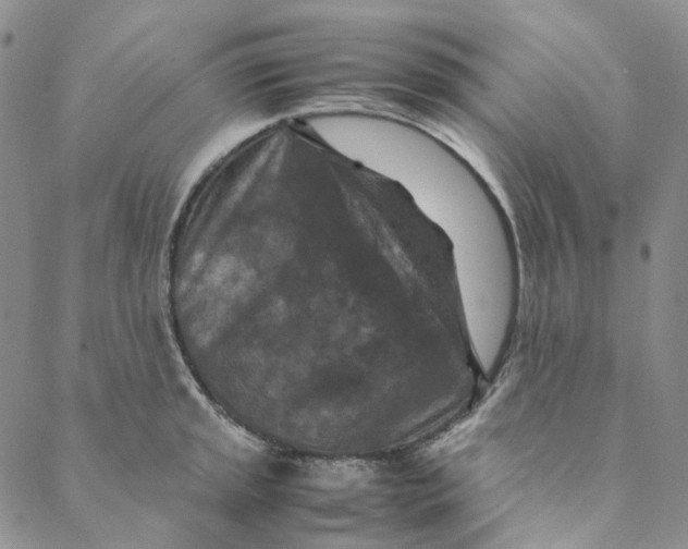 X0000088461045200706121459