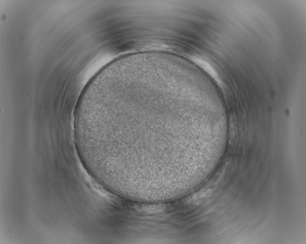 X0000088461047200706121459