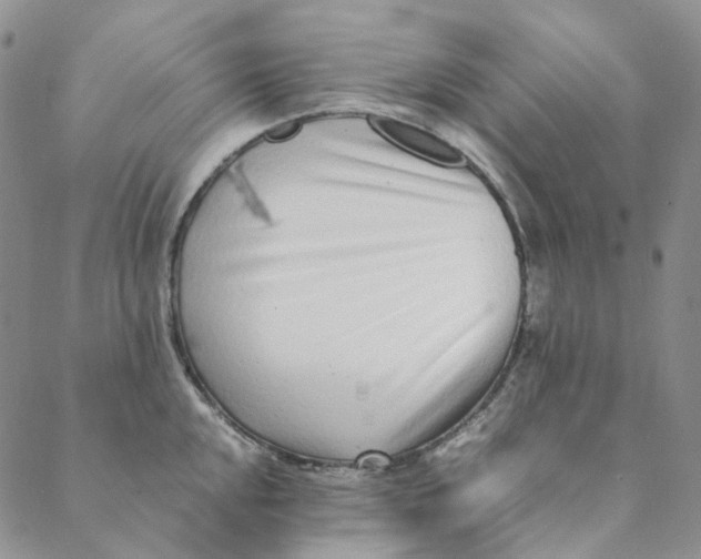 X0000088461048200706121459