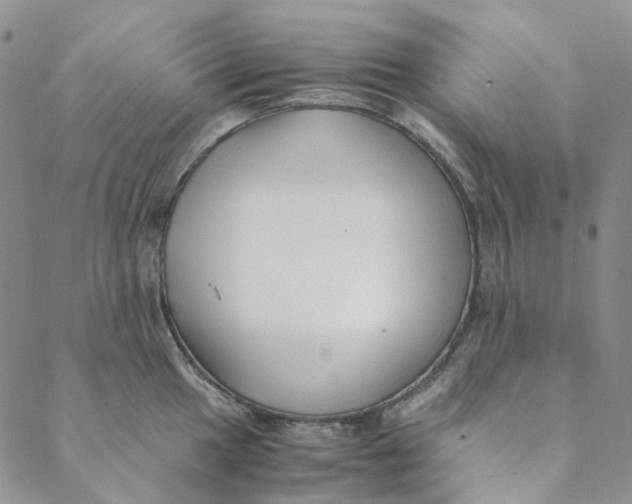 X0000088461049200706121459