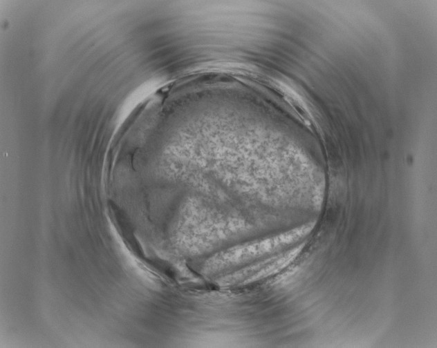 X0000088461050200706121459