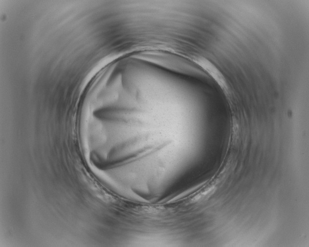 X0000088461052200706121459