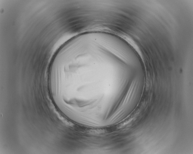 X0000088461053200706121459