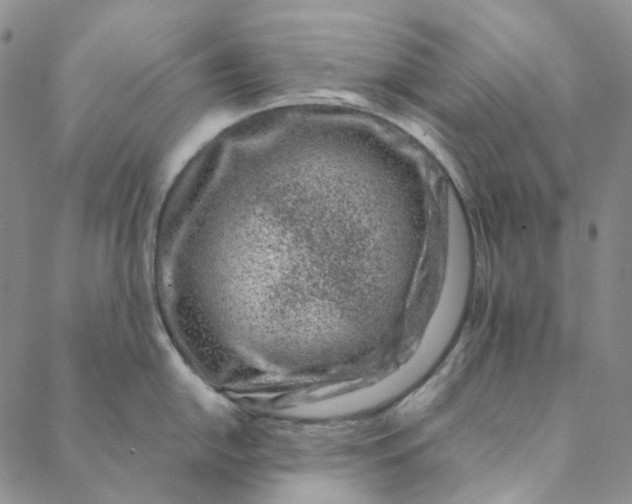 X0000088461054200706121459