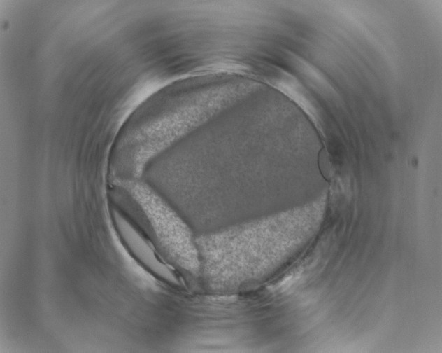 X0000088461055200706121459