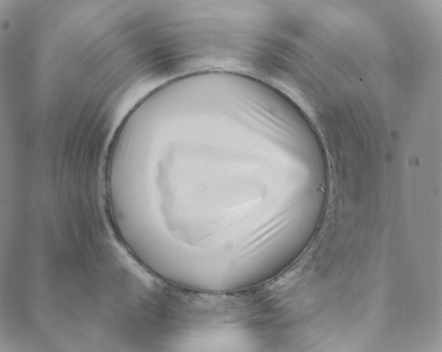 X0000088461056200706121459