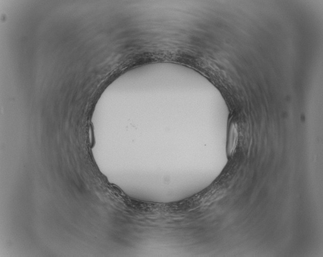 X0000088461057200706121459