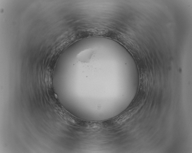 X0000088461058200706121459