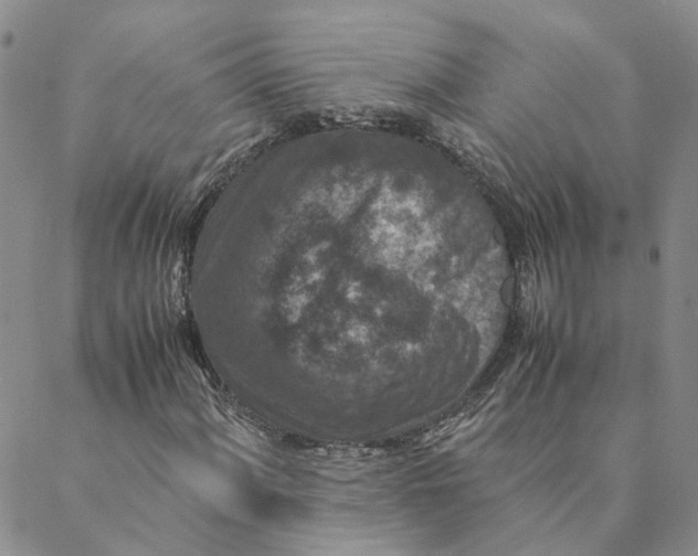 X0000088461060200706121459