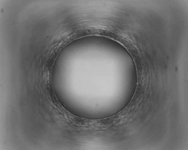 X0000088461061200706121459