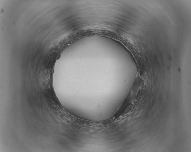 X0000088461062200706121459