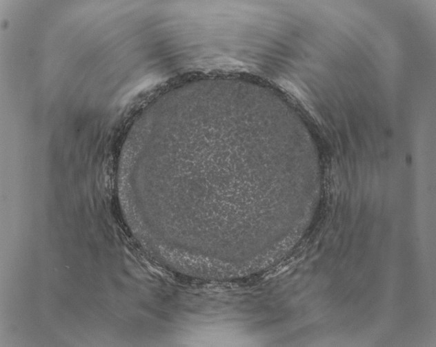 X0000088461063200706121459