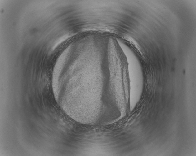 X0000088461064200706121459