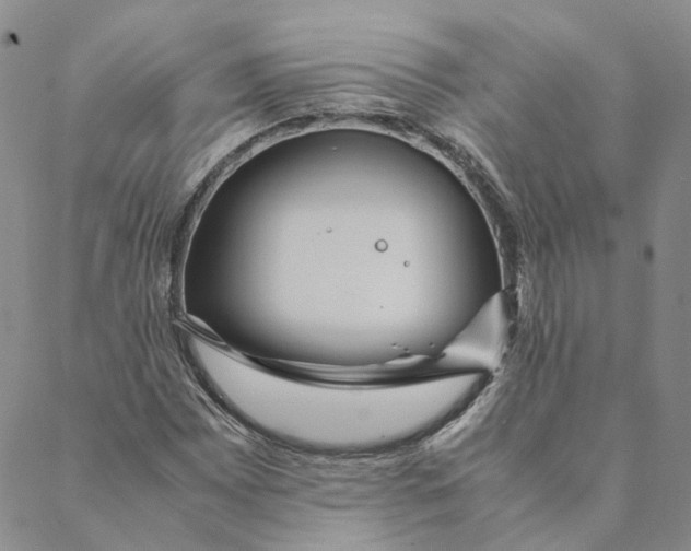 X0000088461065200706121458