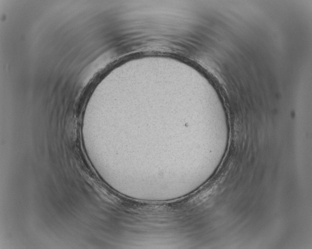 X0000088461067200706121458