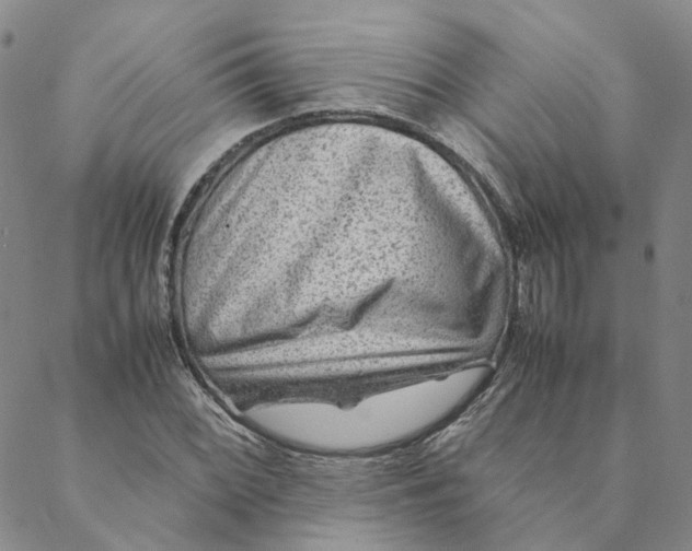 X0000088461068200706121458