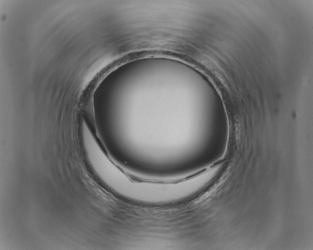 X0000088461069200706121458