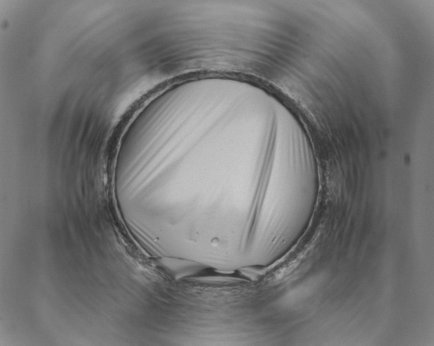 X0000088461070200706121458