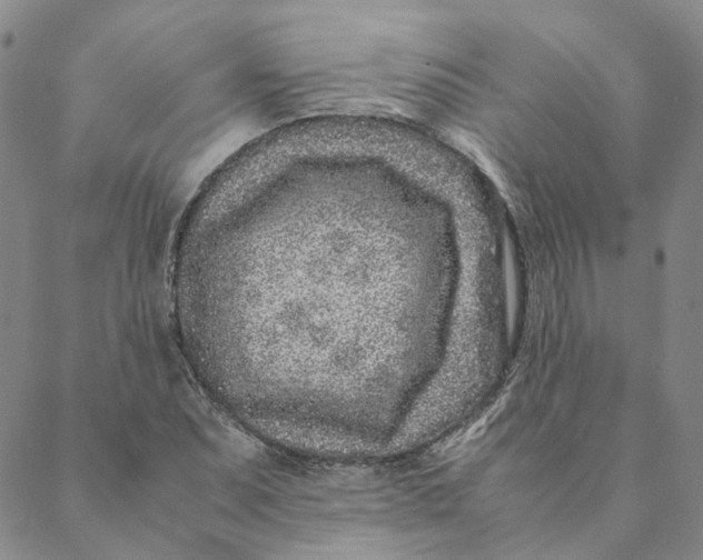 X0000088461071200706121458