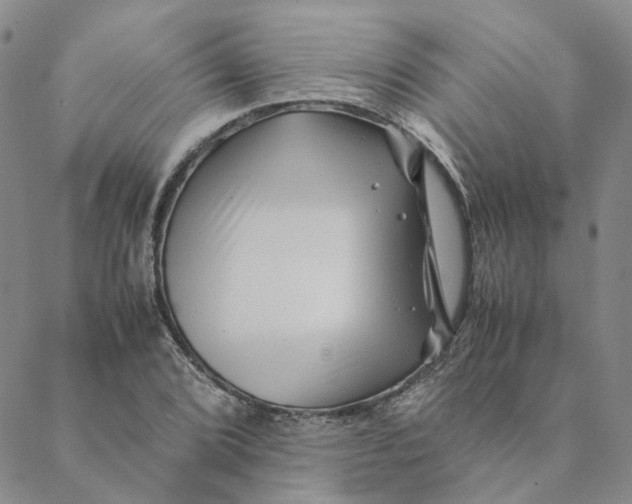 X0000088461072200706121458