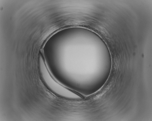 X0000088461073200706121458